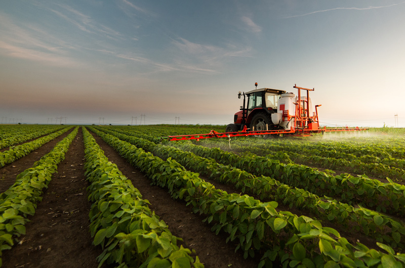 A red tractor sprays crops in evenly spaced rows on a green field at sunset, with a clear sky and horizon in the background.